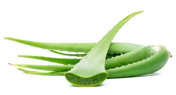 Intensin obsahuje aloe
